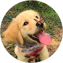 Anushka Deo profile picture